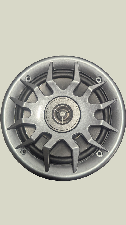 BS Bluetooth 6.5 inch Speaker