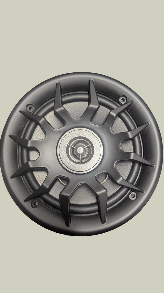 BS Bluetooth 6.5 inch Speaker