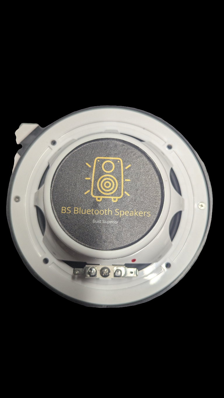 BS Bluetooth 6.5 inch Speaker