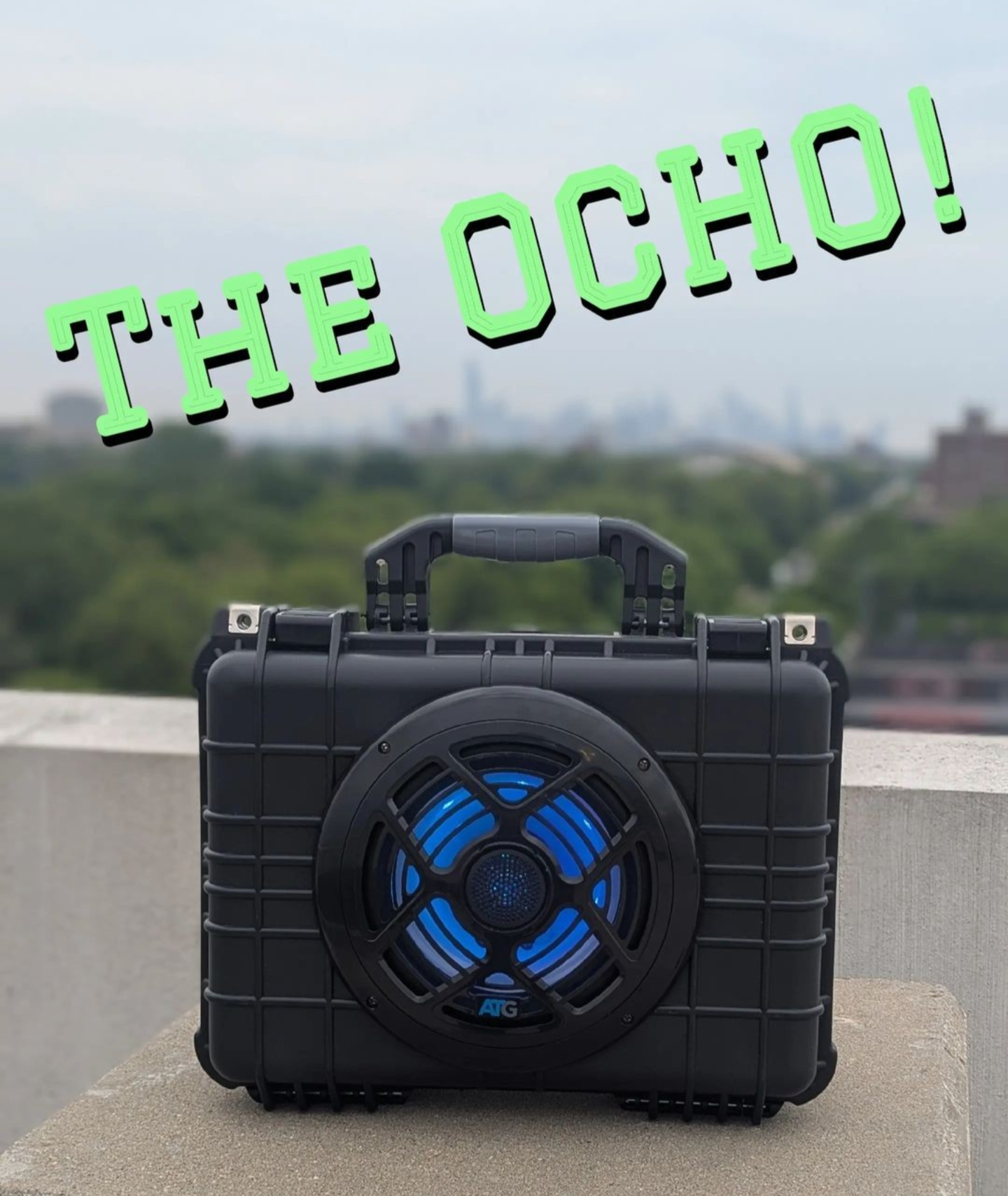 The OCHO!